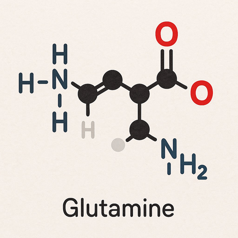 Episode #142 - #142 Glutamine