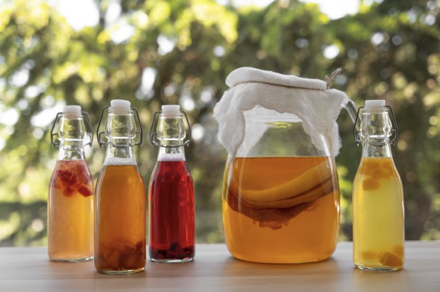 Episode #186 - Kombucha drinks